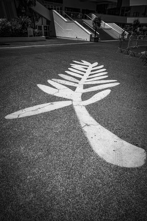 The Golden Palm Leaf at the Festival Palace uin Cannes - CITY OF CANNES, FRANCE - JULY 12, 2020のeditorial素材