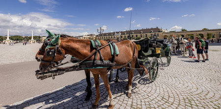 Horse Drawn Cab in the city of Vienna - VIENNA, AUSTRIA, EUROPE - AUGUST 1, 2021のeditorial素材