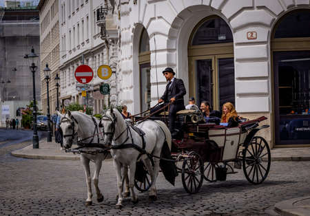 Horse Drawn Cab in the city of Vienna - VIENNA, AUSTRIA, EUROPE - AUGUST 1, 2021