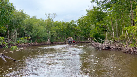 The Airboat tours in the Everglades are touristic highlight in Florida - EVERGLADES CITY, UNITED STATES - FEBRUARY 20, 2022のeditorial素材
