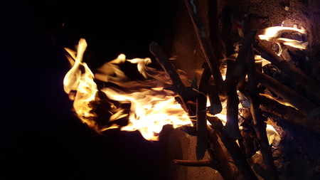 small falso on the beach at night, in all the darkness the fire shinesの写真素材