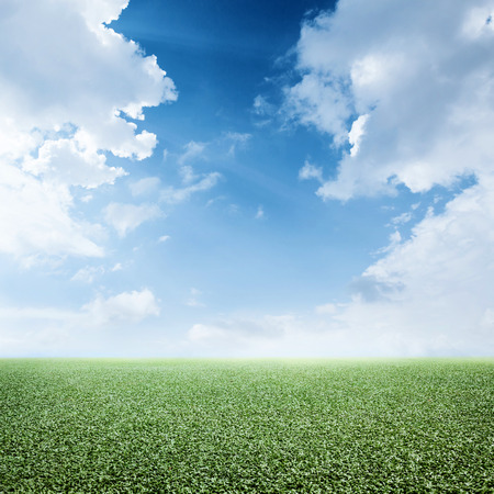 Meadow with green grass and dramatic blue sky with cloudsの写真素材