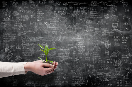 business idea concept on wall with hands holding green small plantの写真素材