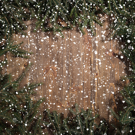 Pine tree on old wooden background/Christmas green frameworkの写真素材