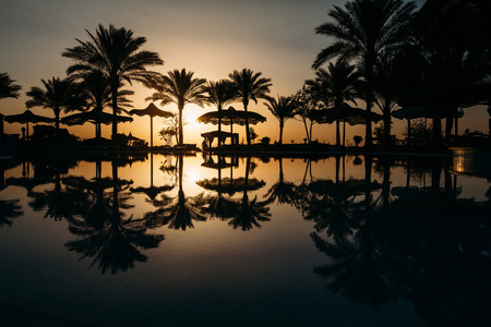 Beautiful sunset at a beach resort in tropics with palms and waterの写真素材