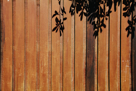 Brown wooden texture with leaves pattern shadowsの写真素材