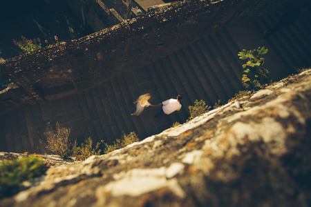 Blonde girl and Hipster handsome man with beard running on the city streetsの写真素材