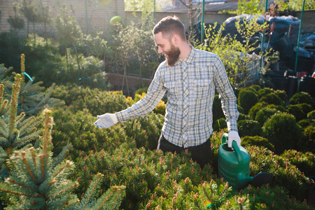 Hipster gardener working in the garden in the cityの写真素材