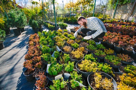 Hipster gardener working in the garden in the cityの写真素材