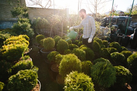 Hipster gardener working in the garden in the cityの写真素材