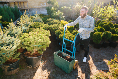 Hipster gardener working in the garden in the cityの写真素材