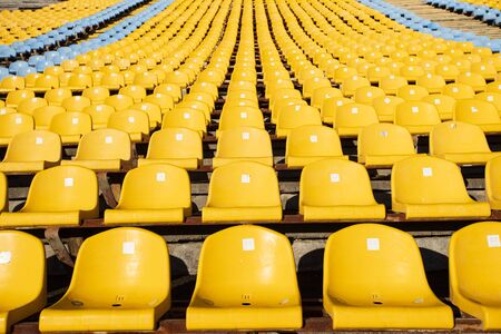 Soccer yellow football seat in a rowの写真素材