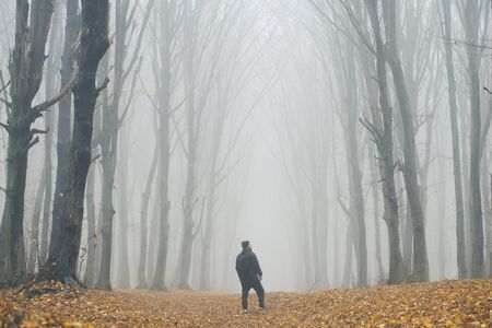Man in tall forest in fog or mist. Dark spooky forest with man wondering in the nature with tourist bagの写真素材