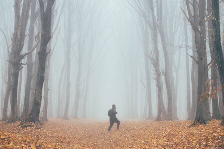 Man in tall forest in fog or mist. Dark spooky forest with man wondering in the nature with tourist bagの写真素材