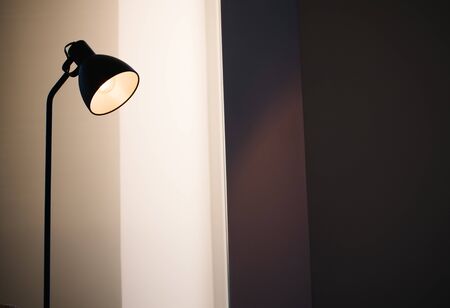 Black standing loft lamp in interior shining with edison bulb insideの写真素材