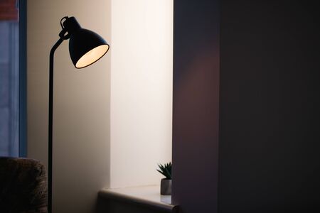 Black standing loft lamp in interior shining with edison bulb insideの写真素材