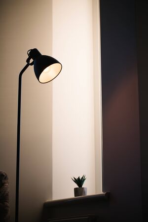 Black standing loft lamp in interior shining with edison bulb insideの写真素材