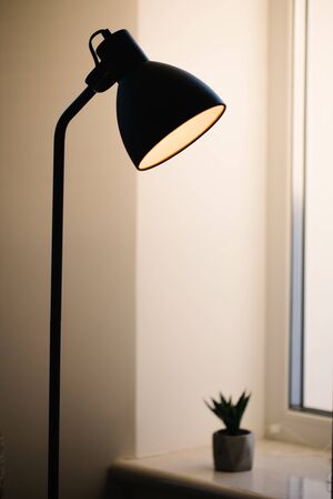 Black standing loft lamp in interior shining with edison bulb insideの写真素材