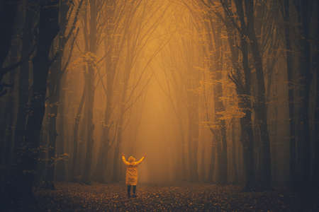 Man lost in a spooky forest. Forest in fog with mist. Fairy spooky looking woods in a misty day with a man lost in it. Cold foggy morning in horror forestの写真素材