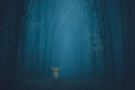 Man lost in a spooky forest. Forest in fog with mist. Fairy spooky looking woods in a misty day with a man lost in it. Cold foggy morning in horror forestの写真素材