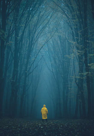 Man lost in a spooky forest. Forest in fog with mist. Fairy spooky looking woods in a misty day with a man lost in it. Cold foggy morning in horror forestの写真素材