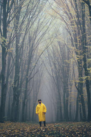 Man lost in a spooky forest. Forest in fog with mist. Fairy spooky looking woods in a misty day with a man lost in it. Cold foggy morning in horror forestの写真素材