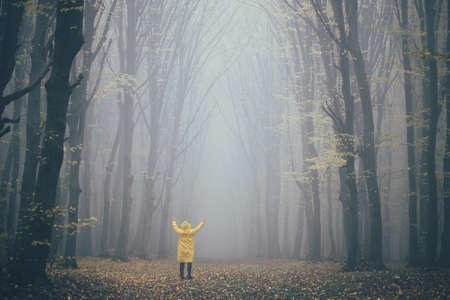 Man lost in a spooky forest. Forest in fog with mist. Fairy spooky looking woods in a misty day with a man lost in it. Cold foggy morning in horror forestの写真素材
