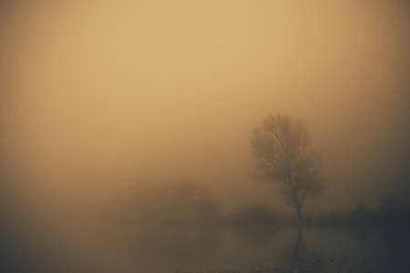 River on a foggy day in the morningの写真素材