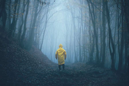 Man got lost in a spooky foggy forest among tall treesの写真素材