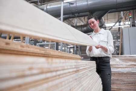 Business woman worker in the carpentry factory using tablet pc. Carpentry factory. Factory for the production of parquet boardの写真素材