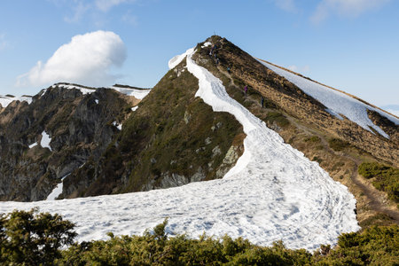 Mountains in summer. Outdoor wonderland or hiking scenery backgroundの写真素材