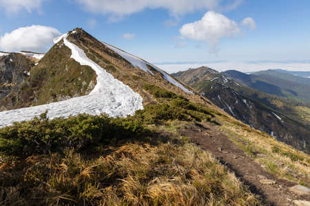 Mountains in summer. Outdoor wonderland or hiking scenery backgroundの写真素材