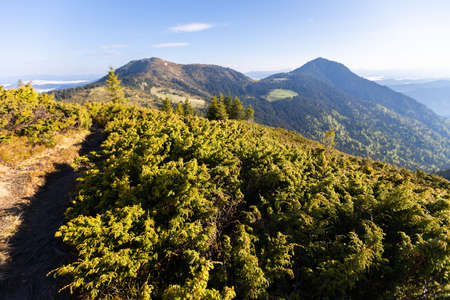 Mountains in summer. Outdoor wonderland or hiking scenery backgroundの写真素材