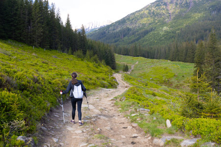 Woman hiker hiking in the mountains in summer to the highest ukrainian ridge Marmarosy near Romania.の写真素材