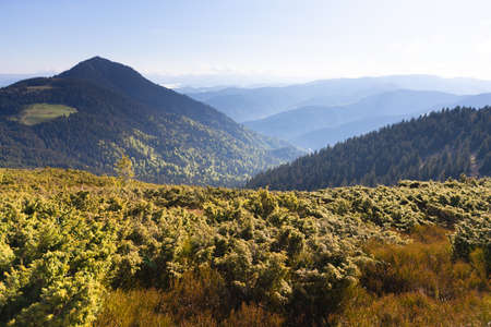 Mountains in summer. Outdoor wonderland or hiking scenery background. Europe, Carpathians, border Ukraine - Romania, Marmarosyの写真素材