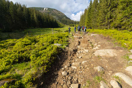 Summer mountain trail for hiking in in the highest ukrainian ridge Marmarosy near Romaniaの写真素材