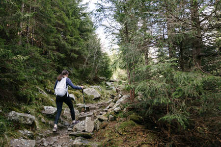 Woman hiker hiking in the mountains in summer to the highest ukrainian ridge Marmarosy near Romania.の写真素材