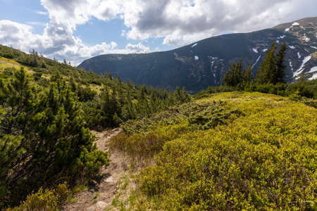 Mountains in summer. Outdoor wonderland or hiking scenery backgroundの写真素材