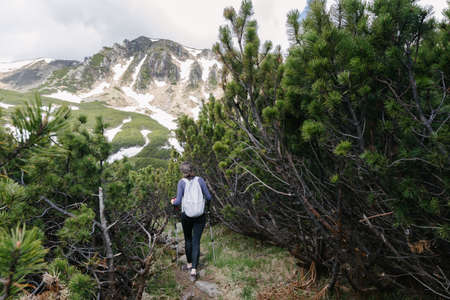 Woman hiker hiking in the mountains in summer to the highest ukrainian ridge Marmarosy near Romania.の写真素材