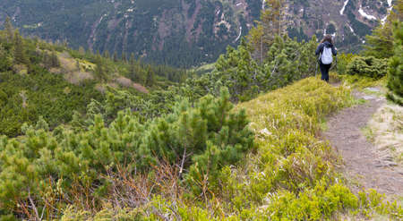 Woman hiker hiking in the mountains in summer to the highest ukrainian ridge Marmarosy near Romania.の写真素材
