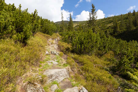 Mountains in summer. Outdoor wonderland or hiking scenery backgroundの写真素材
