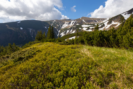 Mountains in summer. Outdoor wonderland or hiking scenery backgroundの写真素材