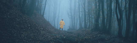 Man got lost in a spooky foggy forest among tall treesの写真素材