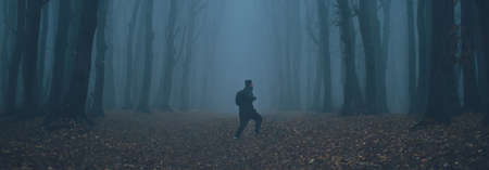 Man got lost in a spooky foggy forest among tall treesの写真素材