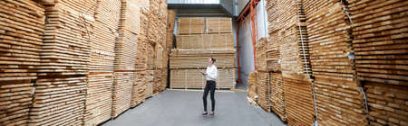 Business woman in the carpentry factory using tablet pc. Carpentry factory. Factory for the production of parquet boardの写真素材