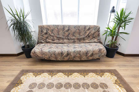 Brown sofa in modern living room interiorの写真素材