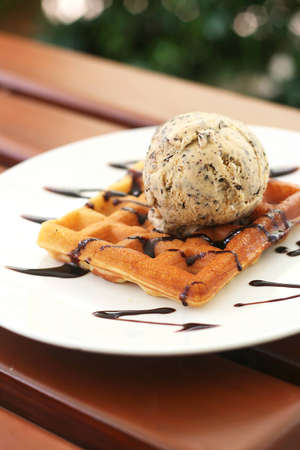 Ice cream on waffleの写真素材