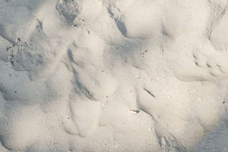 Sand beach texture background in sunset.の写真素材