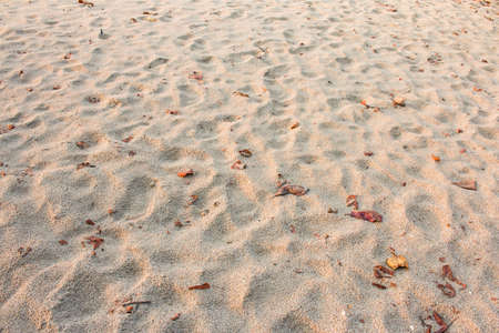 Sand beach texture background in sunset.の写真素材