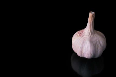 garlic head on a black background close upの写真素材